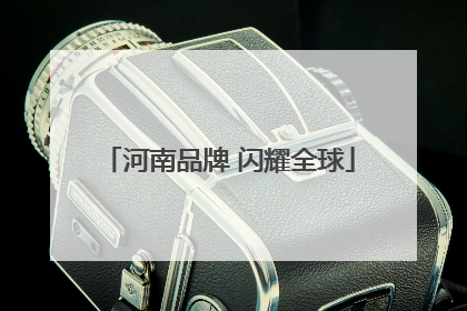 河南品牌 闪耀全球