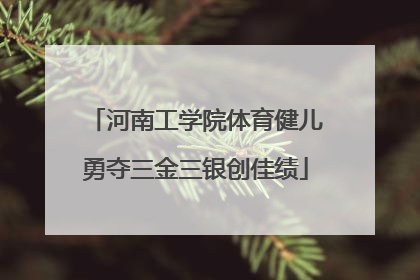 河南工学院体育健儿勇夺三金三银创佳绩