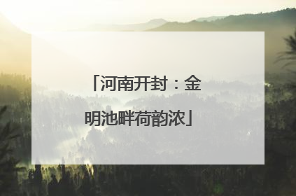 河南开封：金明池畔荷韵浓