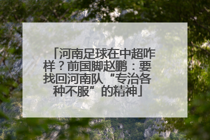河南足球在中超咋样？前国脚赵鹏：要找回河南队“专治各种不服”的精神
