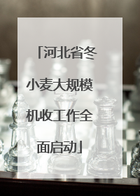 河北省冬小麦大规模机收工作全面启动