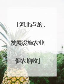 河北卢龙：发展设施农业促农增收
