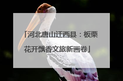 河北唐山迁西县：板栗花开飘香文旅新画卷