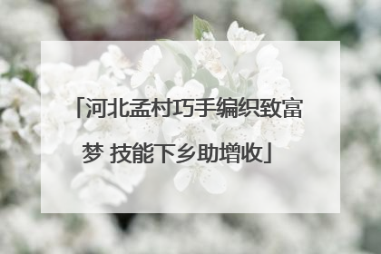 河北孟村巧手编织致富梦 技能下乡助增收