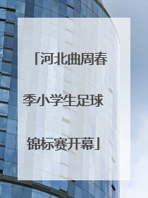河北曲周春季小学生足球锦标赛开幕