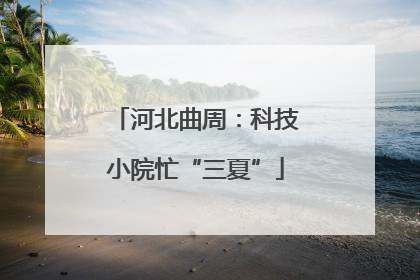 河北曲周：科技小院忙“三夏”