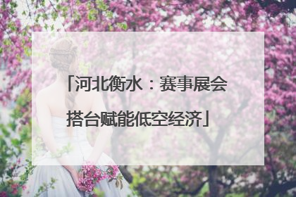 河北衡水：赛事展会搭台赋能低空经济