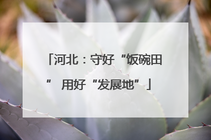 河北：守好“饭碗田” 用好“发展地”