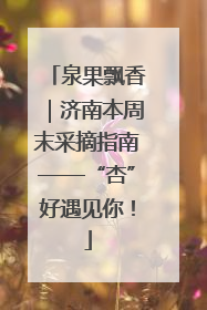 泉果飘香｜济南本周末采摘指南——“杏”好遇见你！