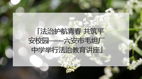 法治护航青春 共筑平安校园——六安市毛坦厂中学举行法治教育讲座