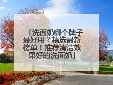 洗面奶哪个牌子最好用？精选最新榜单！推荐清洁效果好的洗面奶