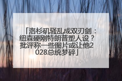 洛杉矶骚乱成双刃剑：纽森硬刚特朗普塑人设？批评称一些图片或让他2028总统梦碎