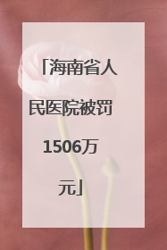 海南省人民医院被罚1506万元