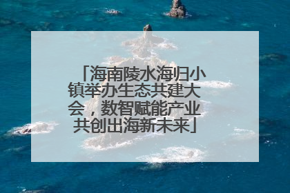 海南陵水海归小镇举办生态共建大会，数智赋能产业共创出海新未来
