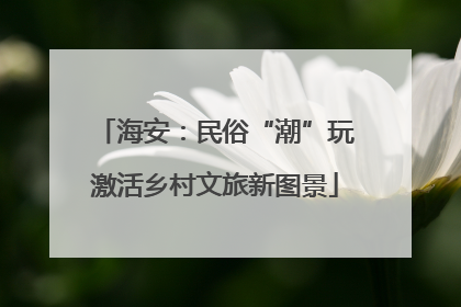 海安：民俗“潮”玩激活乡村文旅新图景