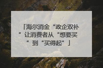 海尔消金“政企双补”让消费者从“想要买”到“买得起”
