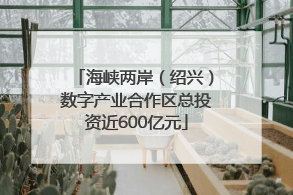 海峡两岸（绍兴）数字产业合作区总投资近600亿元