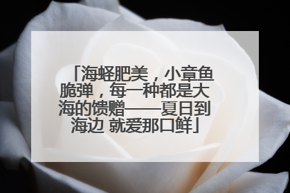 海蛏肥美，小章鱼脆弹，每一种都是大海的馈赠——夏日到海边 就爱那口鲜
