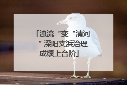 浊流“变“清河“ 溧阳支浜治理成绩上台阶