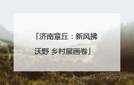 济南章丘：新风拂沃野 乡村展画卷