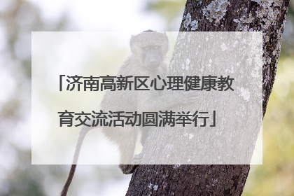 济南高新区心理健康教育交流活动圆满举行