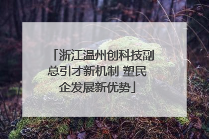 浙江温州创科技副总引才新机制 塑民企发展新优势
