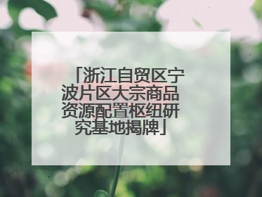 浙江自贸区宁波片区大宗商品资源配置枢纽研究基地揭牌