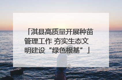 淇县高质量开展种苗管理工作 夯实生态文明建设“绿色根基”