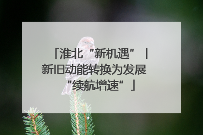 淮北“新机遇”丨新旧动能转换为发展“续航增速”