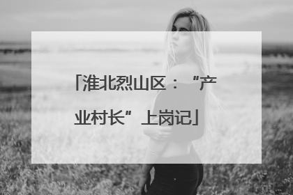 淮北烈山区：“产业村长”上岗记