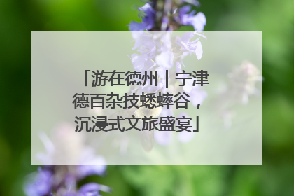 游在德州｜宁津德百杂技蟋蟀谷，沉浸式文旅盛宴