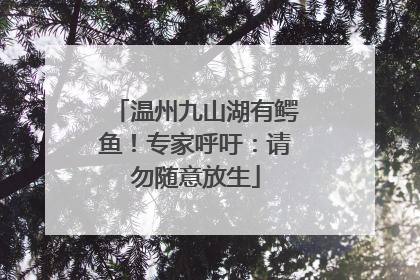 温州九山湖有鳄鱼！专家呼吁：请勿随意放生