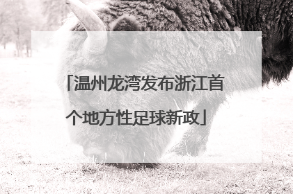 温州龙湾发布浙江首个地方性足球新政