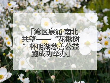 湾区泉涌·南北共擎——“花楸树”杯明湖慈善公益跑成功举办