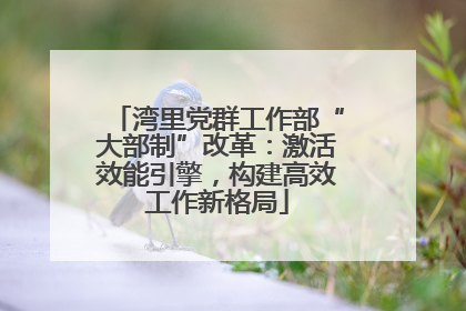 湾里党群工作部“大部制”改革：激活效能引擎，构建高效工作新格局