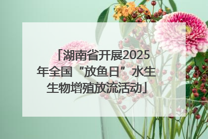 湖南省开展2025年全国“放鱼日”水生生物增殖放流活动