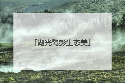 湖光鹭影生态美