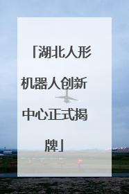 湖北人形机器人创新中心正式揭牌