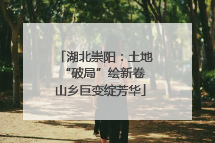 湖北崇阳：土地“破局”绘新卷 山乡巨变绽芳华