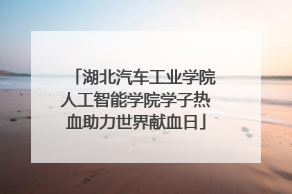 湖北汽车工业学院人工智能学院学子热血助力世界献血日