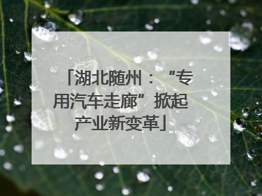 湖北随州：“专用汽车走廊”掀起产业新变革