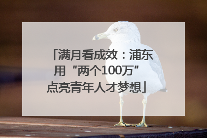 满月看成效：浦东用“两个100万”点亮青年人才梦想