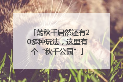 荡秋千居然还有20多种玩法，这里有个“秋千公园”