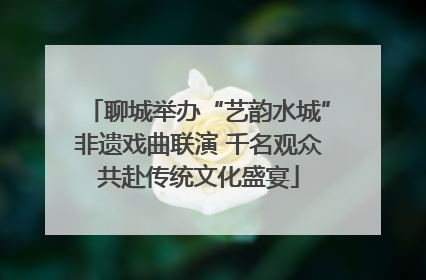 聊城举办“艺韵水城”非遗戏曲联演 千名观众共赴传统文化盛宴