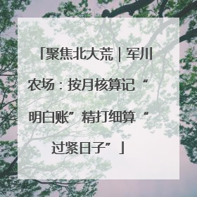 聚焦北大荒｜军川农场：按月核算记“明白账”精打细算“过紧日子”