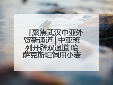 聚焦武汉中亚外贸新通道│中亚班列开辟双通道 哈萨克斯坦饲用小麦将抵鄂