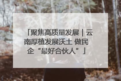 聚焦高质量发展｜云南厚植发展沃土 做民企“最好合伙人”