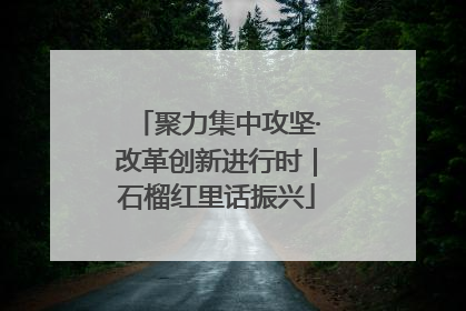 聚力集中攻坚·改革创新进行时｜石榴红里话振兴