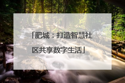 肥城：打造智慧社区共享数字生活