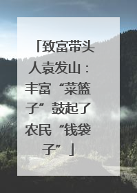 致富带头人袁发山：丰富“菜篮子”鼓起了农民“钱袋子”